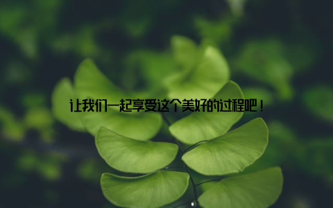 让我们一起享受这个美好的过程吧!