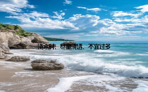 浇水时, 尽量浇透, 不宜过多