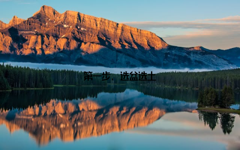 第一步, 选盆选土