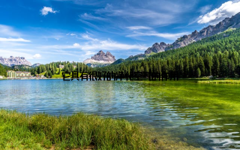 它具有很好的净化空气的作用
