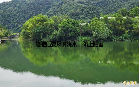 施肥后要及时浇水, 防止肥害