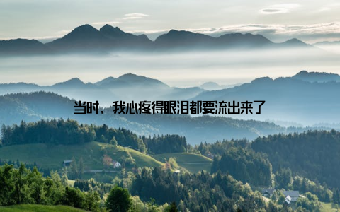 当时, 我心疼得眼泪都要流出来了