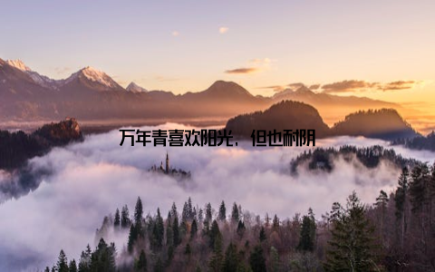 万年青喜欢阳光, 但也耐阴