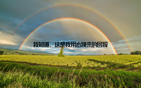 我知道, 这是我用心换来的回报