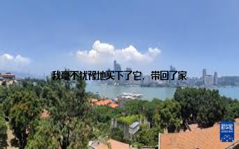 我毫不犹豫地买下了它, 带回了家