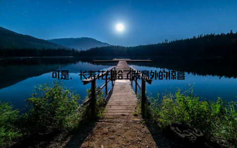 可是, 长寿花却给了我意外的惊喜