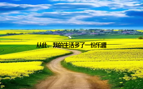 从此, 我的生活多了一份乐趣