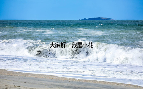 大家好, 我是小花