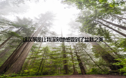 这次展览让我深刻地感受到了盆栽之美