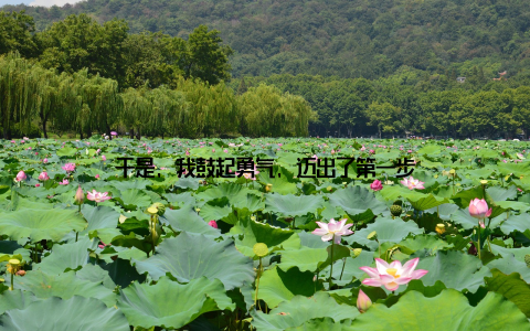 于是, 我鼓起勇气, 迈出了第一步