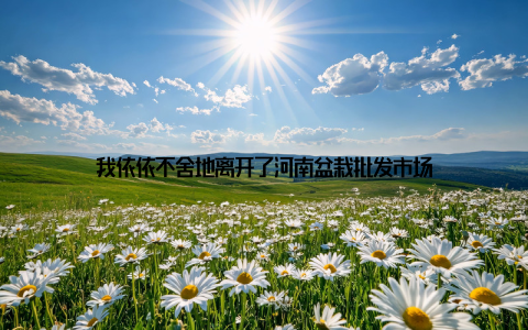 我依依不舍地离开了河南盆栽批发市场