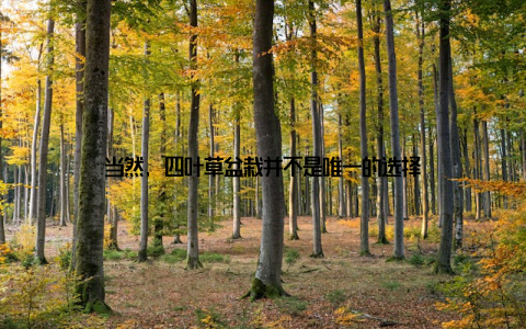 当然, 四叶草盆栽并不是唯一的选择