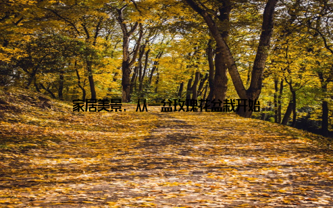 家居美景, 从一盆玫瑰花盆栽开始