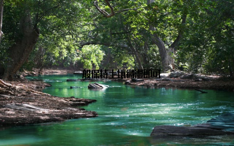 一般保持土壤微湿即可