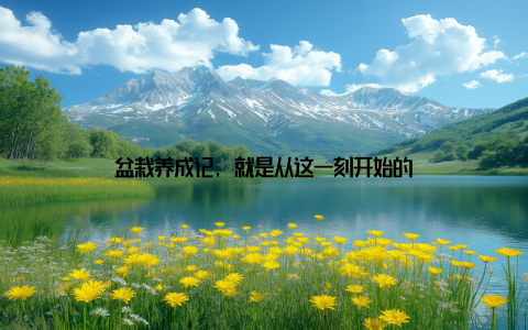 盆栽养成记, 就是从这一刻开始的