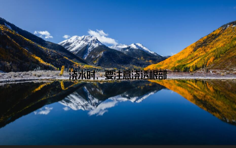 浇水时, 要注意浇透根部