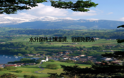 水分保持土壤湿润, 但避免积水