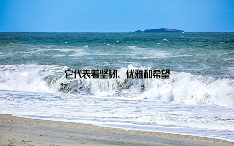 它代表着坚韧、优雅和希望