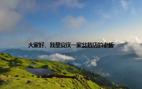 大家好, 我是安庆一家盆栽店的老板