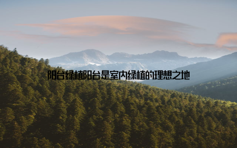 阳台绿植阳台是室内绿植的理想之地