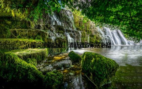 笔尖茉莉盆栽, 清新雅致家居必备