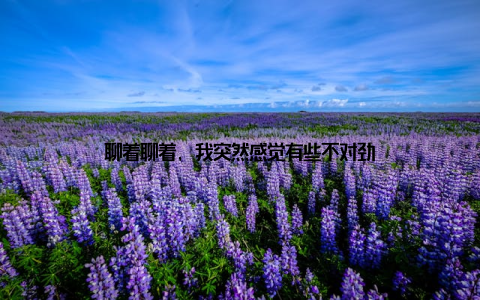 聊着聊着, 我突然感觉有些不对劲