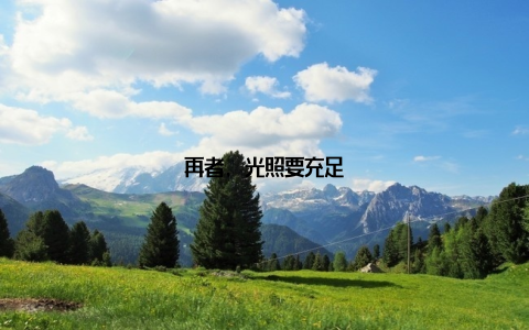 再者, 光照要充足