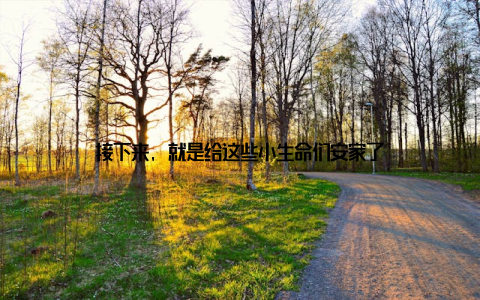 接下来, 就是给这些小生命们安家了