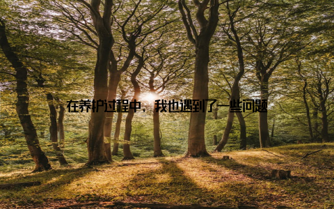 在养护过程中, 我也遇到了一些问题