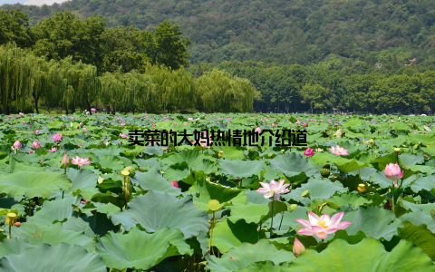 卖菜的大妈热情地介绍道