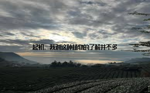 起初, 我对这种植物的了解并不多