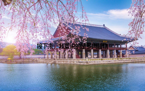 接下来, 我要说的是多肉植物