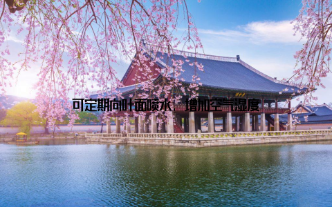 可定期向叶面喷水, 增加空气湿度