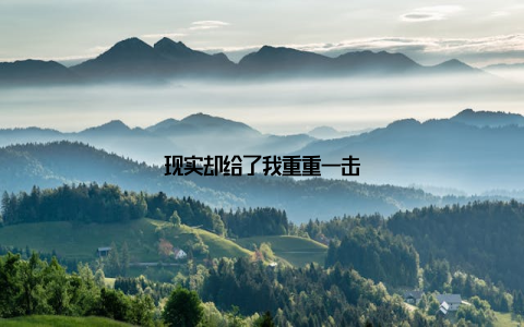 现实却给了我重重一击