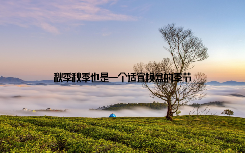 秋季秋季也是一个适宜换盆的季节