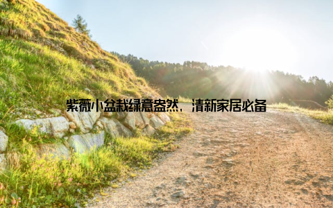 紫薇小盆栽绿意盎然, 清新家居必备