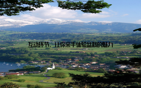 互动环节, 让你亲手体验盆栽的魅力