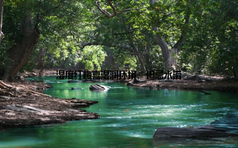 湿度红梅喜湿润环境, 但忌水涝