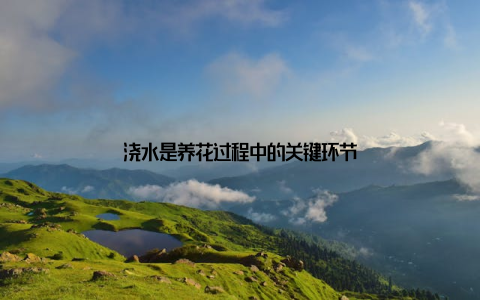 浇水是养花过程中的关键环节