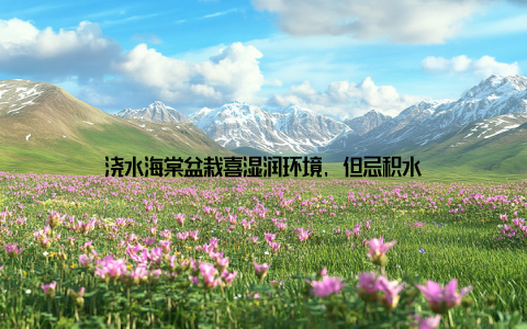 浇水海棠盆栽喜湿润环境, 但忌积水