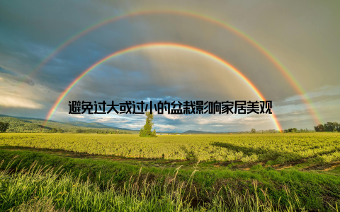 避免过大或过小的盆栽影响家居美观