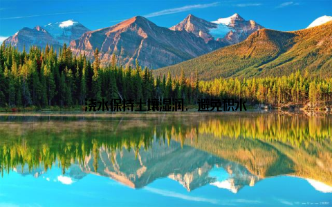 浇水保持土壤湿润, 避免积水