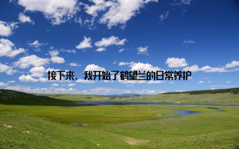 接下来, 我开始了鹤望兰的日常养护