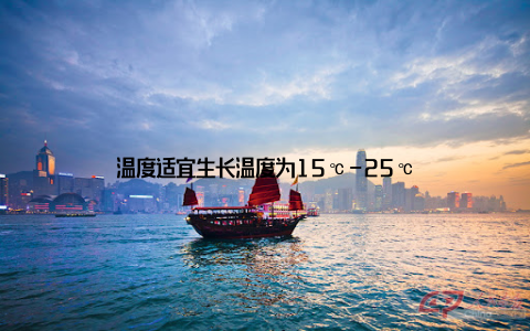 温度适宜生长温度为15℃-25℃