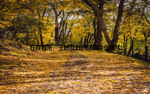 在我看来, 玉树盆栽的成功并非偶然