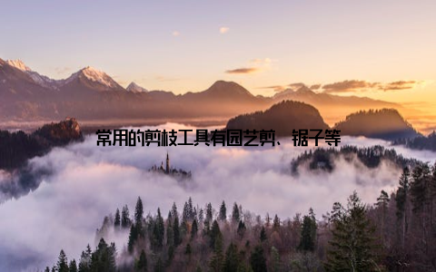 常用的剪枝工具有园艺剪、锯子等