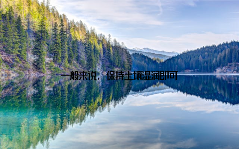 一般来说, 保持土壤湿润即可