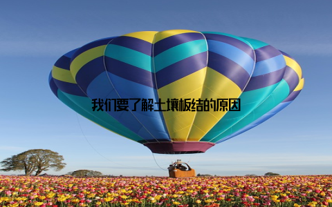 我们要了解土壤板结的原因