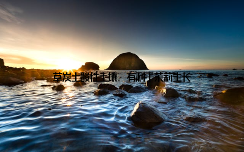 草炭土酸性土壤, 有利于茉莉生长