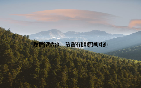 然后浇透水, 放置在阴凉通风处